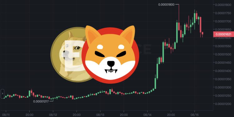 柴狗暴漲！柴犬幣飆升40%市值超越AVAX，狗狗幣齊勁揚17%