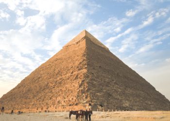 SEC起訴龐氏項目 Forsage 11 人、吸金超 3 億美元！V神自證：時間還人清白