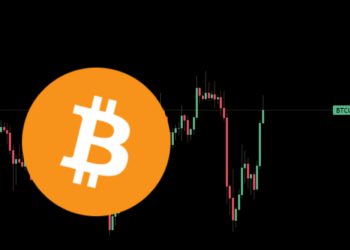 美股連3日收跌、比特幣急挫再反轉回2萬鎂；BTC登「8月全球表現最差資產」