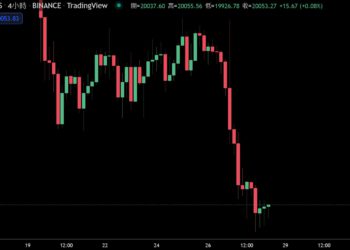 比特幣跌破20,000，單日挫8%！Kevin O’Leary : 監管出台前，恐難突破2.5萬鎂