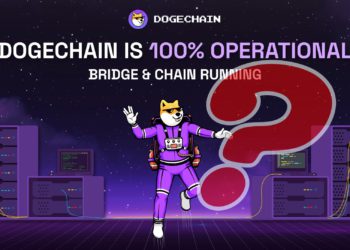 狗狗鏈遭駭停機疑雲、被跨鏈轉出31萬鎂！核心開發者不認 : bug誤鑄970萬顆wDoge給他