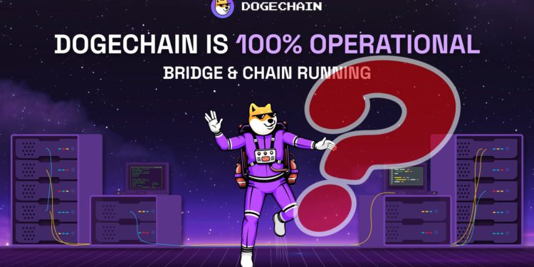 FcZkDsIaAAARJ3p | 動區動趨-最具影響力的區塊鏈新聞媒體 狗狗鏈遭駭停機疑雲、被跨鏈轉出31萬鎂!核心開發者不認 : bug誤鑄970萬顆wDoge給他