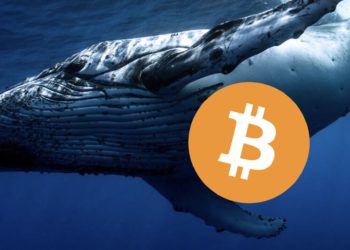 砸盤？沉睡九年巨鯨一週內已轉出 1.5 萬枚比特幣！部分流向幣安、Kraken