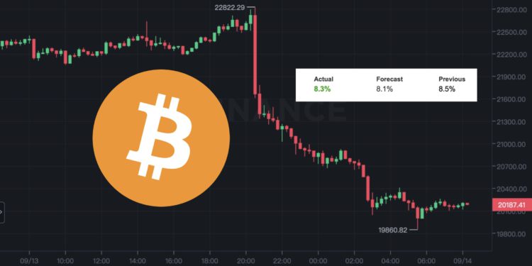 Xnip2022-09-14_09-24-32 | 動區動趨-最具影響力的區塊鏈新聞媒體 集體跳水!美8月CPI年增8.3%高於預期,比特幣跌12%灌破2萬美元