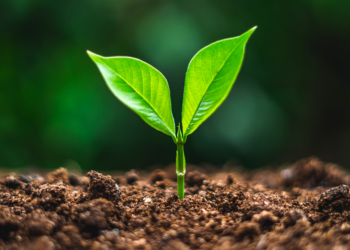 Bankless : 熊市裡值得關注的 5 個領域 L2, Defi, Cosmos…