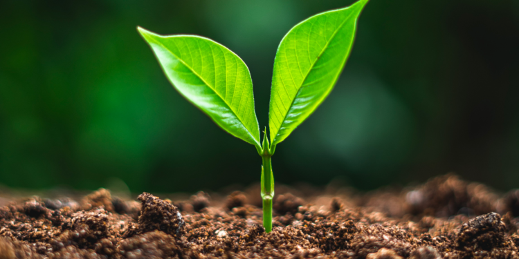 c6ce38cd-be1a-454a-94aa-7dd207c37d93_1000x667 | 動區動趨-最具影響力的區塊鏈新聞媒體 Bankless : 熊市裡值得關注的 5 個領域 L2, Defi, Cosmos…