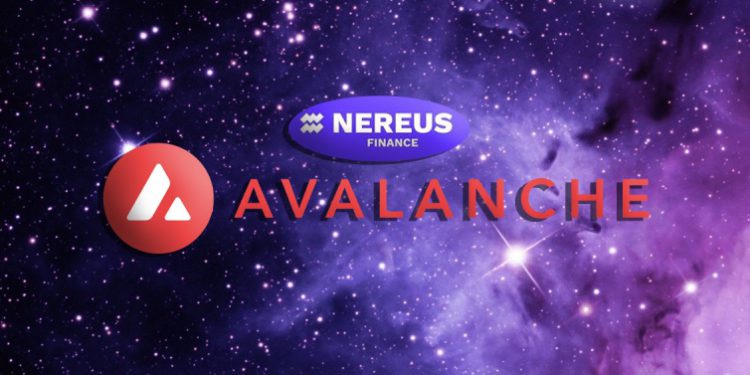 nereus_ava_20220907 | 動區動趨-最具影響力的區塊鏈新聞媒體 雪崩 Nereus Finance 遭閃電貸攻擊,駭客零成本洗出 37 萬枚 USDC