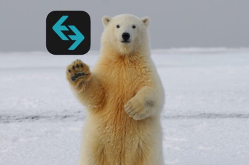 Bitget交易所：如何在熊市中安全地獲利？