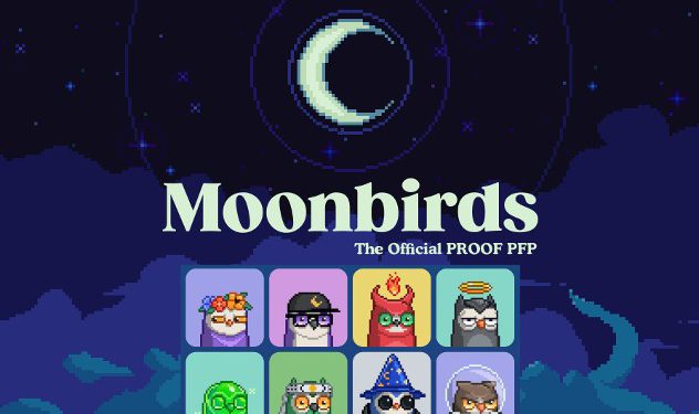 Moonbirds DAO明年初推出｜獲260萬鎂資金，35%版稅將進DAO金庫