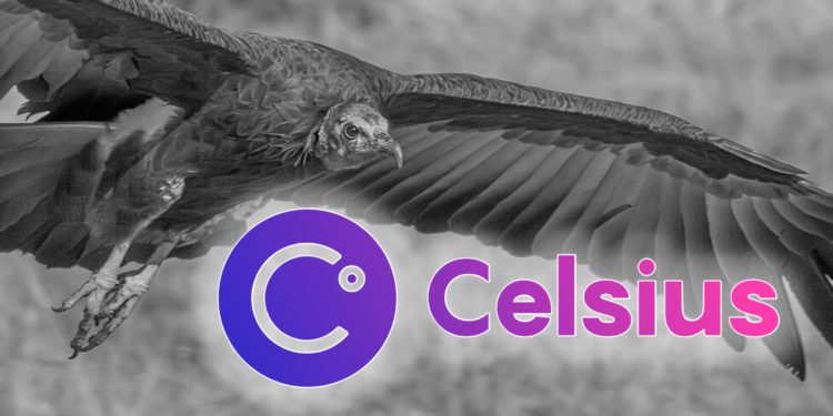 pexels- | 動區動趨-最具影響力的區塊鏈新聞媒體 Celsius開放提款、出售穩定幣皆被拒,業內人士預言:競標禿鷹將撿到便宜