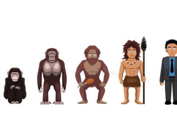 Web3 究竟在紅什麼？它的出現能為人類社會帶來哪些改變？