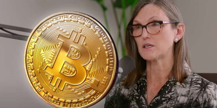 截圖 2022-10-24 11.00.1922 | 動區動趨-最具影響力的區塊鏈新聞媒體 大賺77倍》方舟女股神自曝:比特幣買在250美元!都沒賣