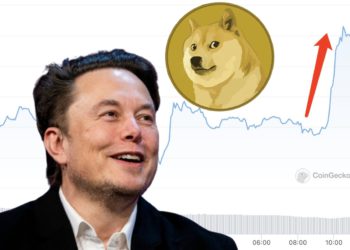 馬斯克轉出 3 億顆狗狗幣？Lookonchain：大漲8%「拉價巨鯨」就是他