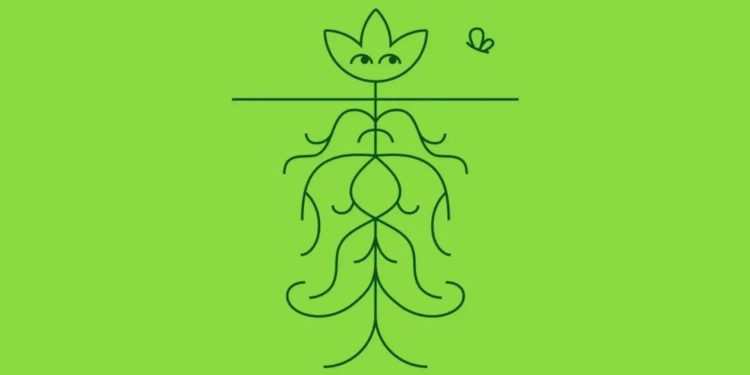 淺談 Lens Protocol 的「冬小麥種植藝術」: Web3社交的邏輯與機會