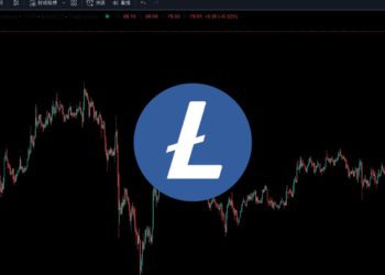 炒作明年減半？萊特幣「日內急漲37%」打破熊市沈寂