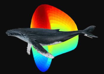 鯨魚做空CRV，Aave耗費百萬買單？DeFi借貸協議為什麼會產生壞帳