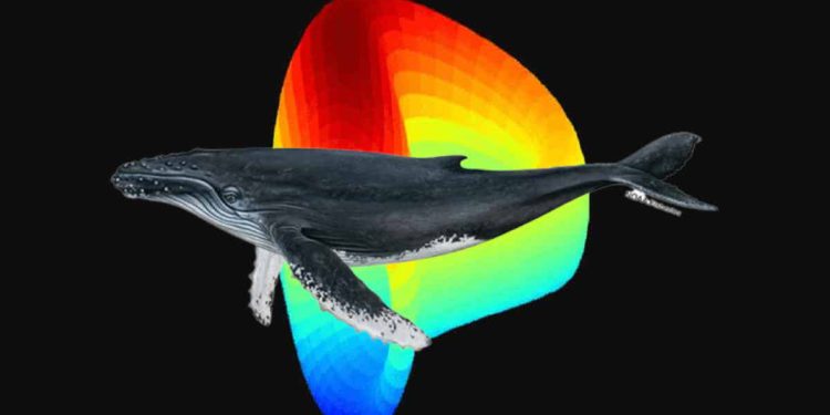 鯨魚做空CRV，Aave耗費百萬買單？DeFi借貸協議為什麼會產生壞帳