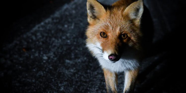 Metamask隱私｜區塊鏈安全從業者：回顧加密貨幣監管歷史進程