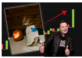 馬投顧秀「愛犬穿推特T恤」，狗狗幣瞬漲12%破0.14！7天漲幅135%