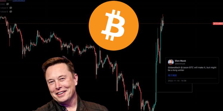 馬投顧再發威！喊一句「寒冬會過去」，領比特幣飆漲近 17,000 鎂