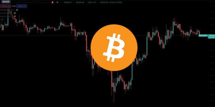 感恩節行情》BTC, ETH 小幅反彈，加密市場總市值日內增長超120億美元