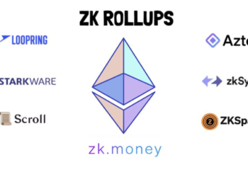 ZK 元年》ZK-rollup 的項目在 2022 年表現如何？