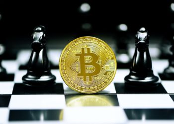 滅絕、倖存與進化：寫在 11 月的加密貨幣市場之後