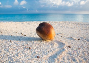 馬紹爾群島「DAO法案」詳解：自冠世界首創，美國懷俄明州又是怎麼做？