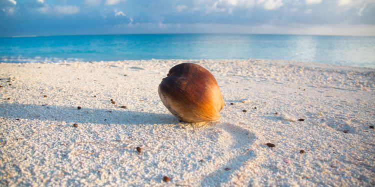 馬紹爾群島「DAO法案」詳解：自冠世界首創，美國懷俄明州又是怎麼做？