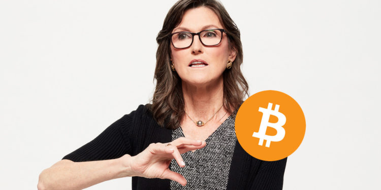 女股神喊話「比特幣仍在成長」: BTC是去中心化的、不受SBF控制和影響！