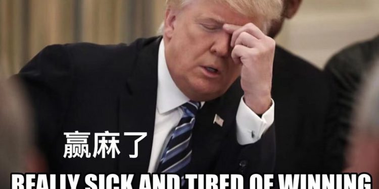 x86bjmk7f52iba81 | 動區動趨-最具影響力的區塊鏈新聞媒體 謝謝川普 NFT,給熊市帶來這麼多「歡樂」