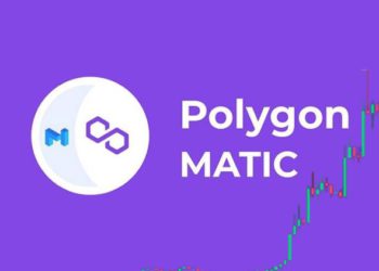 MATIC 單月跳漲50％！巨鯨囤貨2年清倉大賺50倍