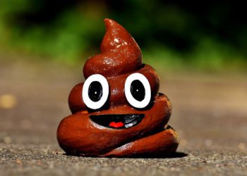 一覽頂級加密 VC 投資組合現狀：多數已淪為 Shitcoin