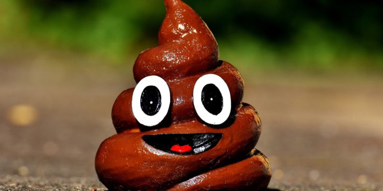 一覽頂級加密 VC 投資組合現狀：多數已淪為 Shitcoin