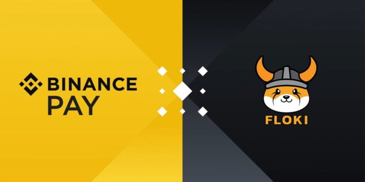 迷因幣》Floki「合作幣安Pay」暴漲28%，再推出商店Shop Floki