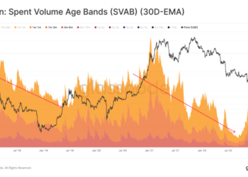 數據分析》農曆新年小牛市，是機遇還是陷阱？