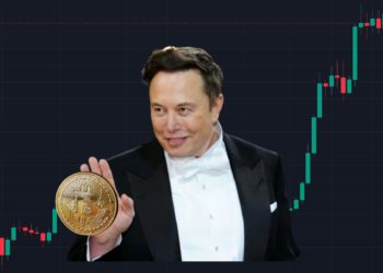 特斯拉Q4「續抱比特幣」，持倉BTC價值高於財報38%，股價飆漲11%