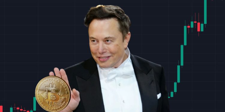 特斯拉Q4「續抱比特幣」，持倉BTC價值高於財報38%，股價飆漲11%