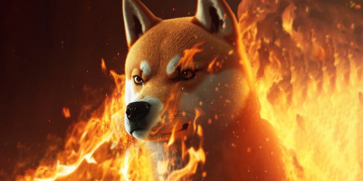 BONK-Burns-Half-a-Trillion-Tokens-Sending-Price-up-107 | 動區動趨-最具影響力的區塊鏈新聞媒體 Solana 上的新狗幣 Bonk 為何爆紅?