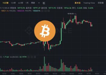 FTX破產後》比特幣首次突破1.9萬鎂！Bitstamp執行長：下輪牛市兩年內開跑