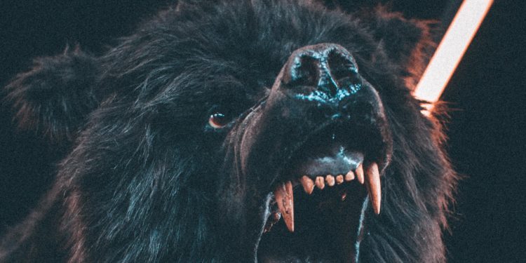 老幣圈人的「熊市生存」指南：何時復甦？下輪主流敘事會是什麼？