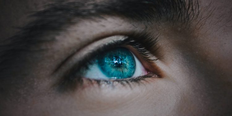 fabrizio-verrecchia-s85Nw03ublY-unsplash | 動區動趨-最具影響力的區塊鏈新聞媒體 The Block 37 位分析師 2023 年預測:精煉新敘事、新走勢有哪些