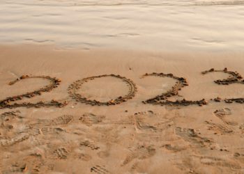 2023 春節前加密貨幣市場預測，L2將成最重要敘事板塊