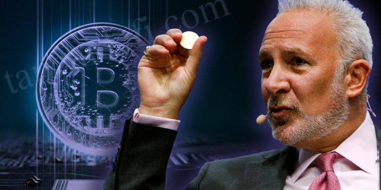 黃金多頭 Peter Schiff：比特幣價格永遠不會到 100,000 美元！
