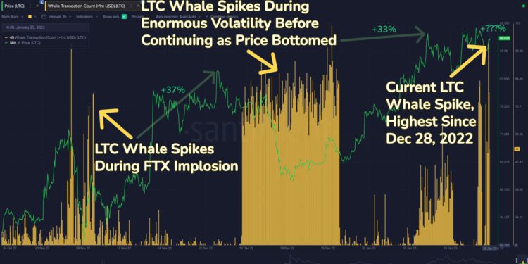 比特幣有望衝2.5萬鎂！Santiment：巨鯨對LTC、AVAX、APT、FTM交易激增