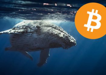 國際清算銀行：散戶常當巨鯨接盤仔！多數BTC定投者都虧損