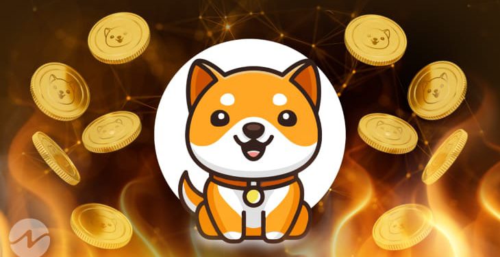 迷因幣》BabyDoge單月漲近300%！銷毀傳送門上線、躍升市值第68大