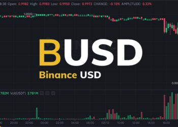 BUSD遭重擊微脫勾！Curve池嚴重傾斜、BNB跌破290鎂