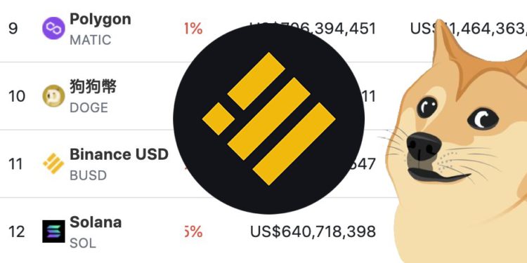 BUSD出局後況》「遭狗狗幣篡位」跌出前十大！市值下探 111 億美元