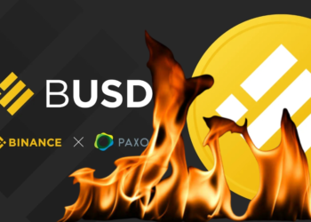 BUSD禁令10天後》幣安銷毀BNB鏈上20億BUSD，市值再滑落至124億美元